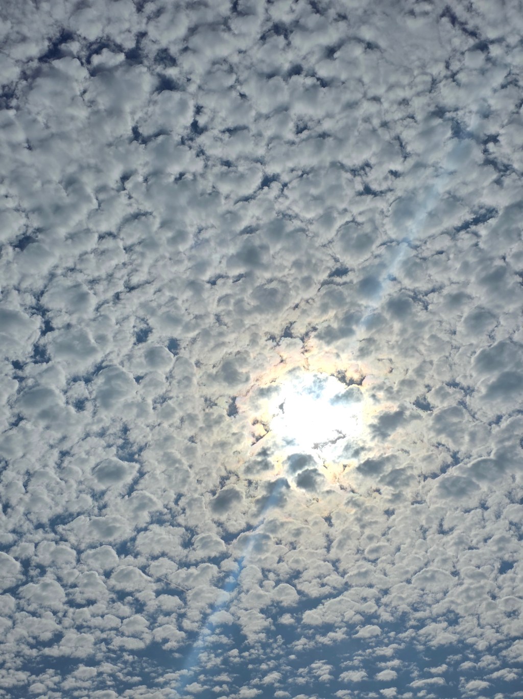 Solar Plexus Sunday: The Way I&nbsp;Shine